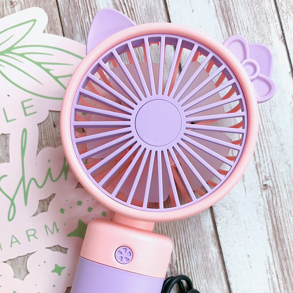 Super Cute rechargeable fan.