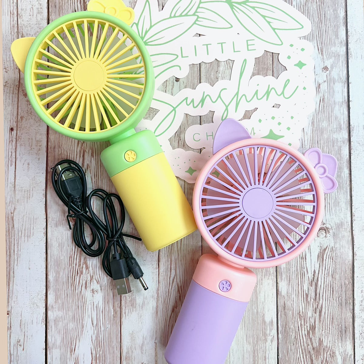 Super Cute rechargeable fan.