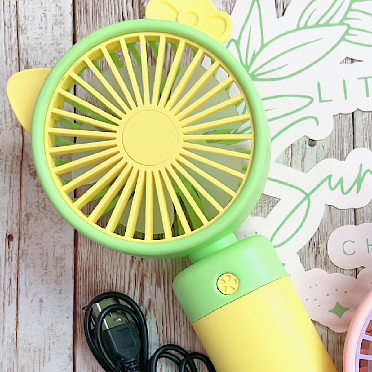 Super Cute rechargeable fan.