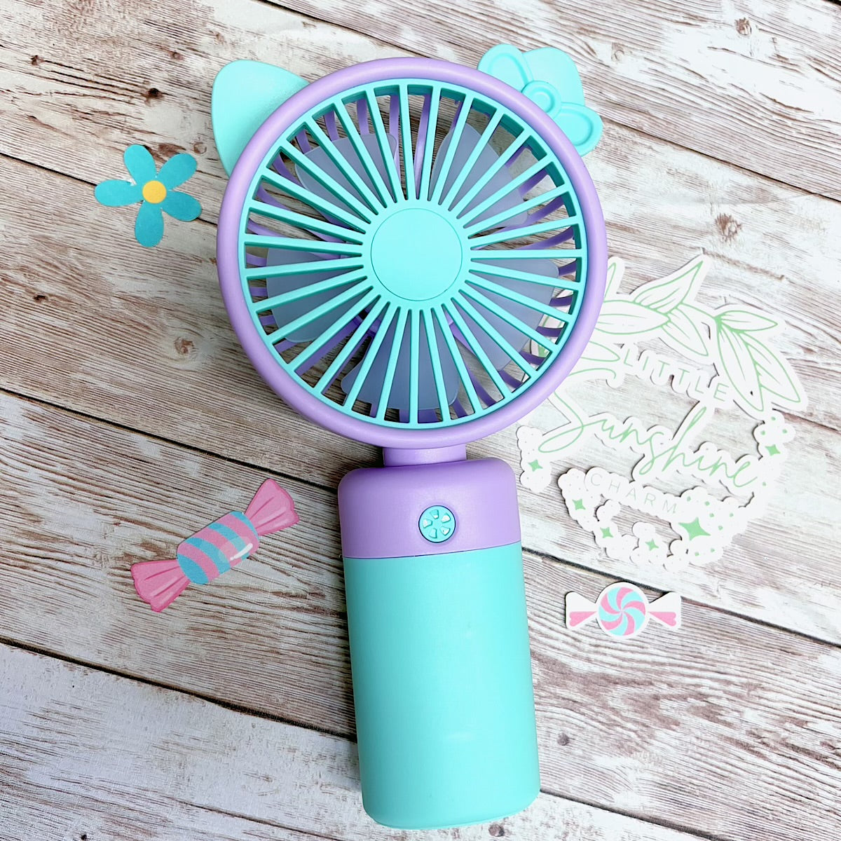 Super Cute rechargeable fan.