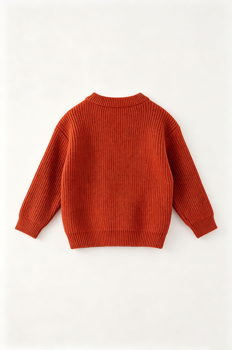 "Howdy Ya'll" Rust orange knit sweater. TPG60421 SOL