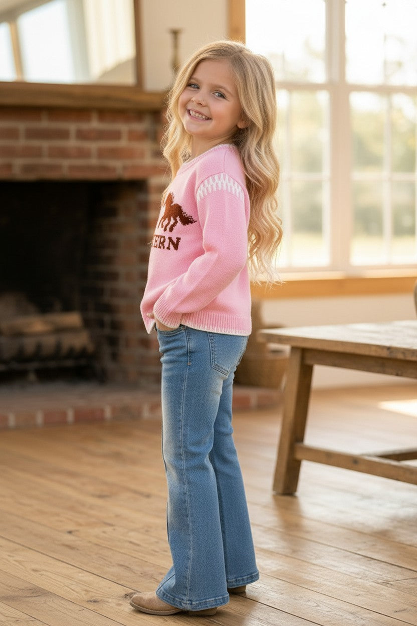 Pink Western sweater knit sweater. TPG60575