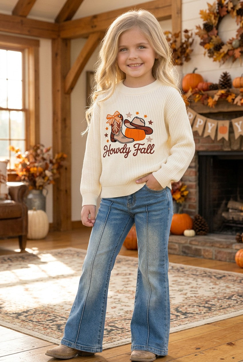 Howdy Fall embroidered knit sweater. TPG60422